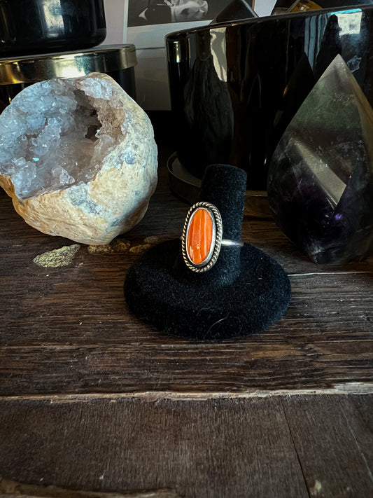 Orange Spiny Oyster Rings